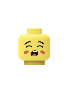 Head T22-1