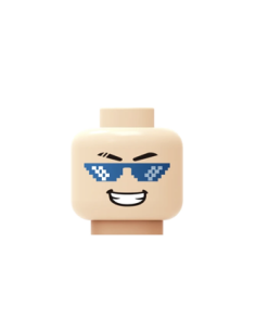 Head T13
